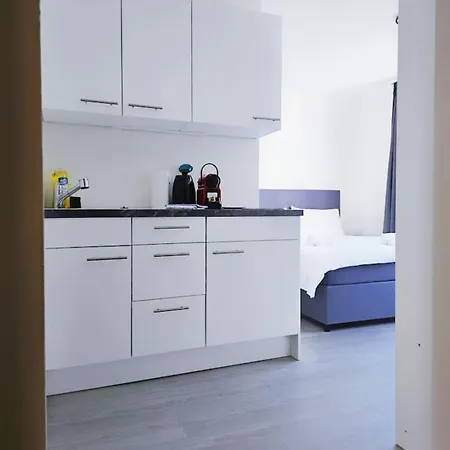 Urban Oasis With Queen Bed And View Be-38 * Zurych